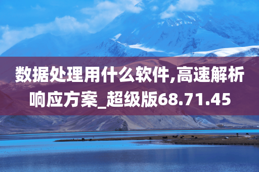 数据处理用什么软件,高速解析响应方案_超级版68.71.45