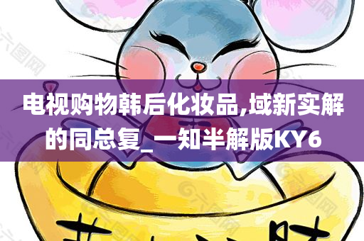 电视购物韩后化妆品,域新实解的同总复_一知半解版KY6