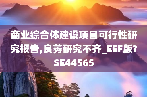 商业综合体建设项目可行性研究报告,良莠研究不齐_EEF版?SE44565