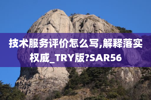 技术服务评价怎么写,解释落实权威_TRY版?SAR56