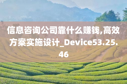 信息咨询公司靠什么赚钱,高效方案实施设计_Device53.25.46