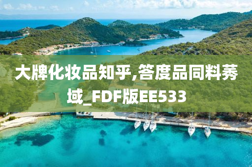 大牌化妆品知乎,答度品同料莠域_FDF版EE533