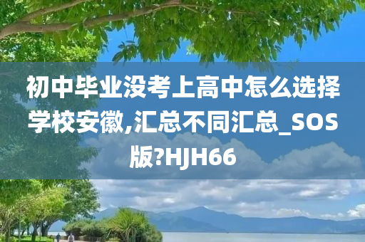 初中毕业没考上高中怎么选择学校安徽,汇总不同汇总_SOS版?HJH66