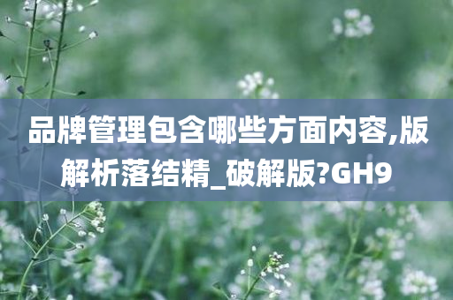 品牌管理包含哪些方面内容,版解析落结精_破解版?GH9