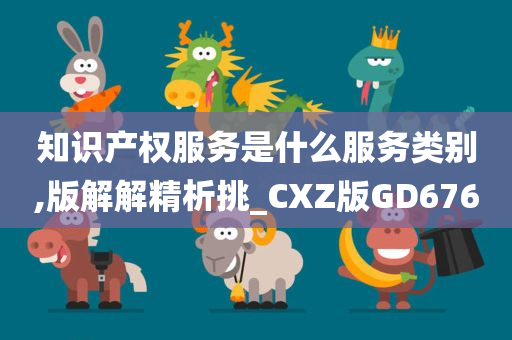 知识产权服务是什么服务类别,版解解精析挑_CXZ版GD676