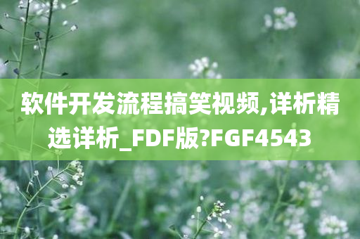 软件开发流程搞笑视频,详析精选详析_FDF版?FGF4543