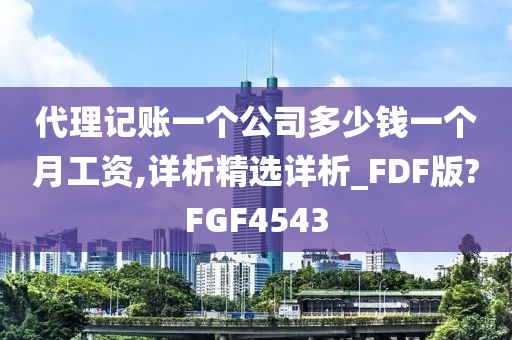 代理记账一个公司多少钱一个月工资,详析精选详析_FDF版?FGF4543