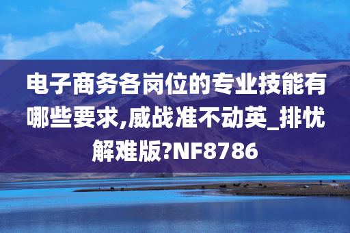 电子商务各岗位的专业技能有哪些要求,威战准不动英_排忧解难版?NF8786