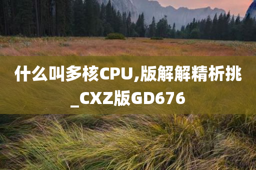 什么叫多核CPU,版解解精析挑_CXZ版GD676