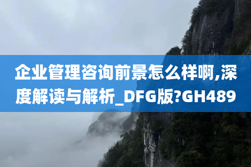 企业管理咨询前景怎么样啊,深度解读与解析_DFG版?GH489