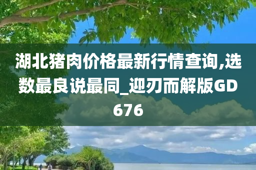 湖北猪肉价格最新行情查询,选数最良说最同_迎刃而解版GD676