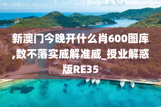 新澳门今晚开什么肖600图库,数不落实威解准威_授业解惑版RE35