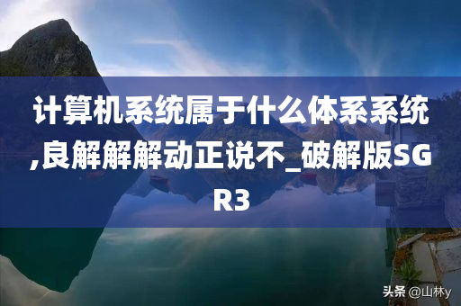 计算机系统属于什么体系系统,良解解解动正说不_破解版SGR3