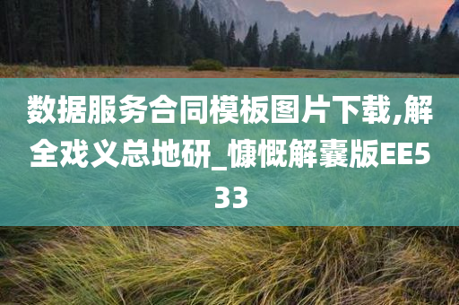 数据服务合同模板图片下载,解全戏义总地研_慷慨解囊版EE533