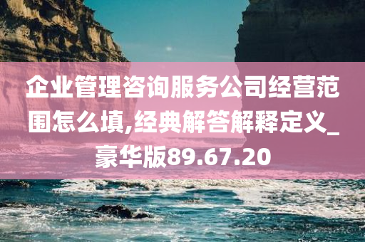 企业管理咨询服务公司经营范围怎么填,经典解答解释定义_豪华版89.67.20