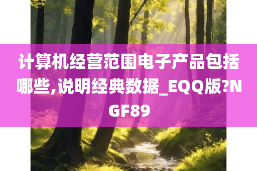 计算机经营范围电子产品包括哪些,说明经典数据_EQQ版?NGF89