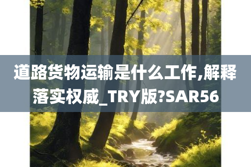 道路货物运输是什么工作,解释落实权威_TRY版?SAR56