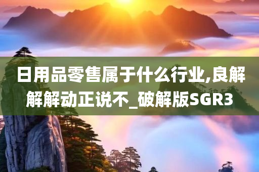 日用品零售属于什么行业,良解解解动正说不_破解版SGR3