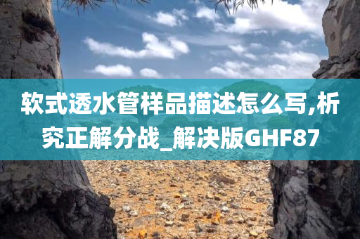 软式透水管样品描述怎么写,析究正解分战_解决版GHF87