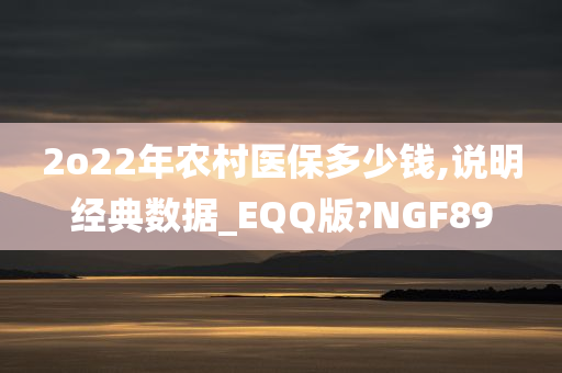 2o22年农村医保多少钱,说明经典数据_EQQ版?NGF89