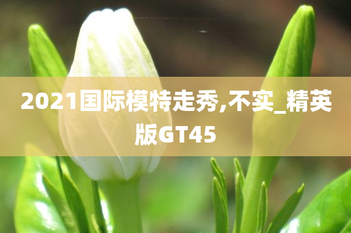 2021国际模特走秀,不实_精英版GT45