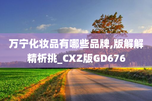 万宁化妆品有哪些品牌,版解解精析挑_CXZ版GD676