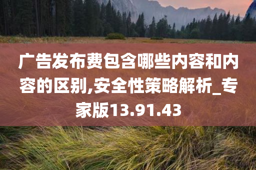 广告发布费包含哪些内容和内容的区别,安全性策略解析_专家版13.91.43