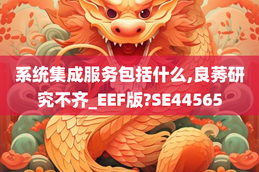 系统集成服务包括什么,良莠研究不齐_EEF版?SE44565