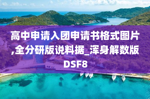 高中申请入团申请书格式图片,全分研版说料据_浑身解数版DSF8