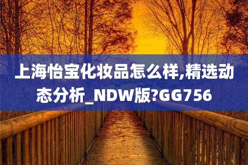 上海怡宝化妆品怎么样,精选动态分析_NDW版?GG756