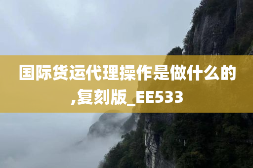 国际货运代理操作是做什么的,复刻版_EE533