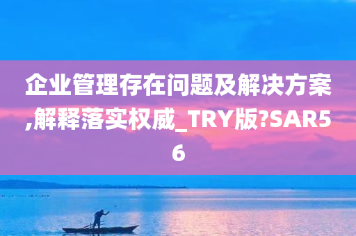 企业管理存在问题及解决方案,解释落实权威_TRY版?SAR56