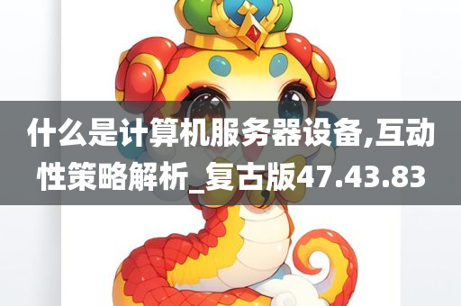 什么是计算机服务器设备,互动性策略解析_复古版47.43.83