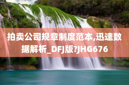 拍卖公司规章制度范本,迅速数据解析_DFJ版?JHG676