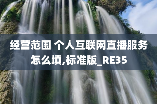 经营范围 个人互联网直播服务怎么填,标准版_RE35