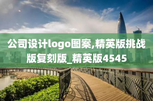 公司设计logo图案,精英版挑战版复刻版_精英版4545