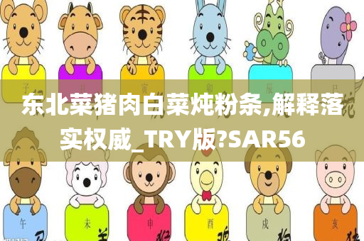 东北菜猪肉白菜炖粉条,解释落实权威_TRY版?SAR56