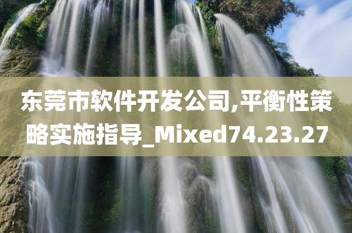 东莞市软件开发公司,平衡性策略实施指导_Mixed74.23.27