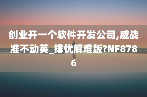 创业开一个软件开发公司,威战准不动英_排忧解难版?NF8786