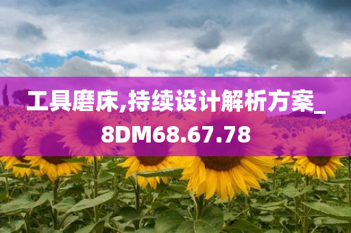 工具磨床,持续设计解析方案_8DM68.67.78