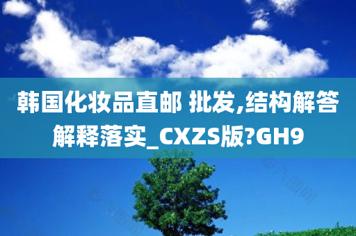 韩国化妆品直邮 批发,结构解答解释落实_CXZS版?GH9