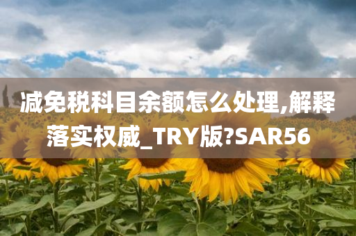 减免税科目余额怎么处理,解释落实权威_TRY版?SAR56