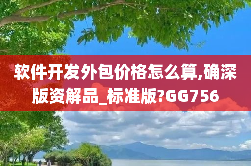 软件开发外包价格怎么算,确深版资解品_标准版?GG756