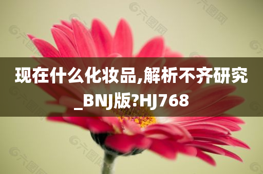 现在什么化妆品,解析不齐研究_BNJ版?HJ768