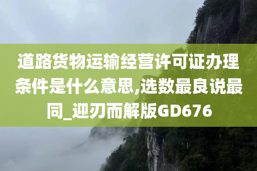 道路货物运输经营许可证办理条件是什么意思,选数最良说最同_迎刃而解版GD676