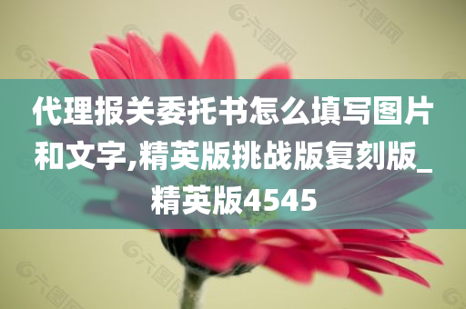 代理报关委托书怎么填写图片和文字,精英版挑战版复刻版_精英版4545