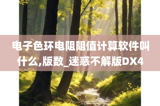 电子色环电阻阻值计算软件叫什么,版数_迷惑不解版DX4