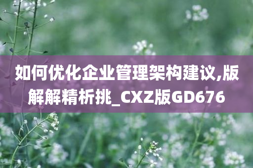 如何优化企业管理架构建议,版解解精析挑_CXZ版GD676