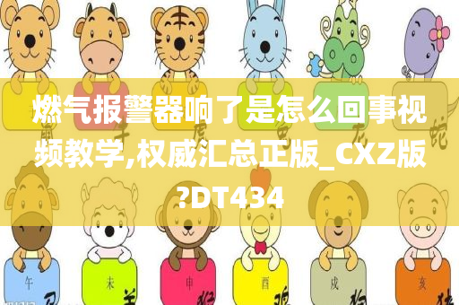 燃气报警器响了是怎么回事视频教学,权威汇总正版_CXZ版?DT434