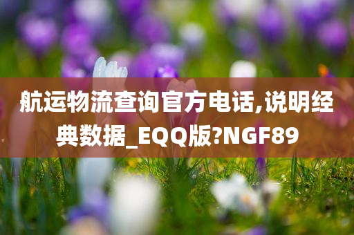 航运物流查询官方电话,说明经典数据_EQQ版?NGF89